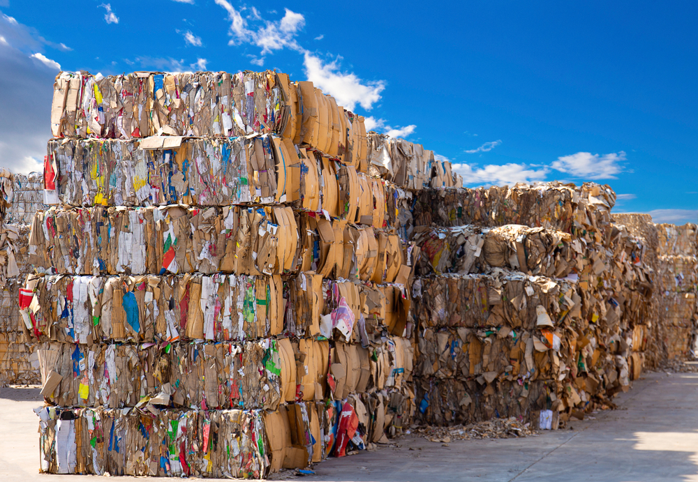 Packaging recycling levels rise in 2020